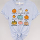 598. Variety Pumpkins - Full Color