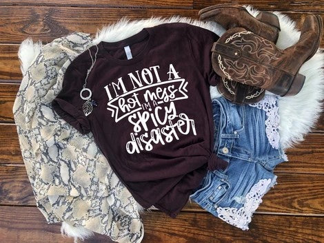316. I'm not a Hot Mess, Spicy Disaster - White Ink